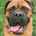 Axius Holdings profile picture