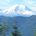 SeaRain profile picture