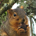 Humble Value Miner profile picture