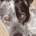 Don-n-ABQ profile picture