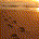 Kingkang80 profile picture