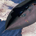 aldol profile picture