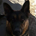 KSAccountant profile picture