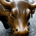 Naples Investor profile picture
