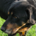 taskassistant profile picture