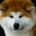Nettligent profile picture