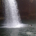 showmethefacts profile picture