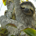 capitalallocator profile picture