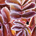 threeleaves profile picture
