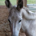 d_alpha profile picture