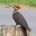 Dividend Watcher profile picture