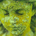 RockieK profile picture