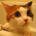 Paul T. Lambert profile picture