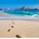 Island_Dweller profile picture