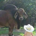 ralphey profile picture