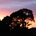 Big Thunder profile picture