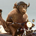 PICOLOMINI profile picture