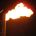 Black Gold profile picture