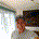Seattle Steve B profile picture