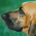 thinking.outloud profile picture
