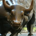 JTrader_25 profile picture