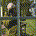 fo2grafen profile picture
