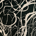 Bankfurt profile picture