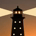 The Lone Contrarian profile picture