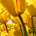 NeitherSide profile picture