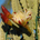 Kenybouy profile picture