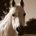 Retired Fernando profile picture