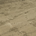 User 16760062 profile picture