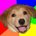 itamarro profile picture