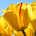 cachinga profile picture