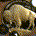 Buffalo_Ken profile picture