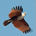 4paisa profile picture