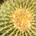 daver202 profile picture