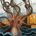 The Kraken profile picture
