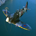 Spitfire MK V profile picture