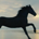 CR144 Research profile picture