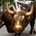 Silent Trader profile picture