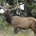 rvt1046 profile picture