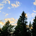 vancityinc profile picture