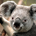 pdunc profile picture