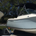 canyonwlf7 profile picture