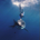 Mitridates profile picture