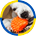 SqueakyToy profile picture