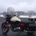 MKD2 profile picture