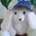 Allen Baltzer profile picture