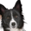 Nanu1164 profile picture